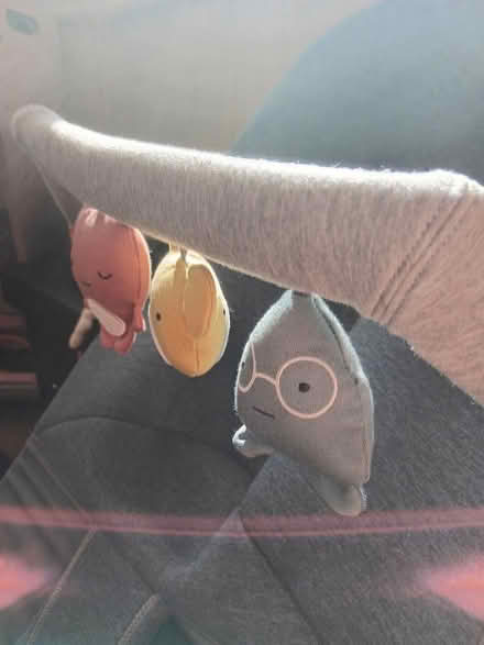 Photo of free Baby Bjorn bouncer/toddler seat (Meads BN20) #3