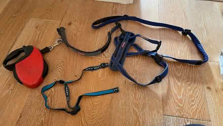 Photo of free Assorted dog leads (Costessey NR8) #1