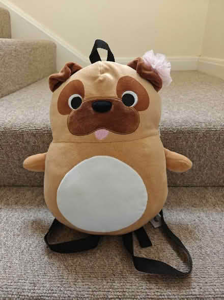 Photo of free Super cute backpack (North Waltham RG25) #1