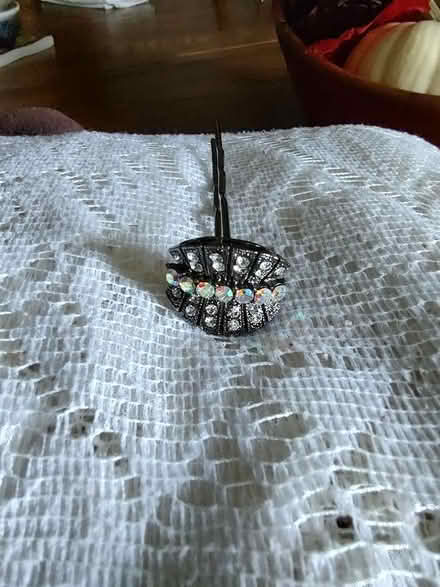 Photo of free Updo hair pin (Odenton) #1
