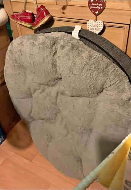 Photo of free Dog bed (Long ditton) #2