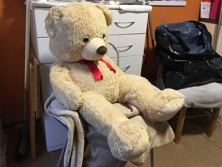 Photo of free Large Teddy Bear, child’s Soft Toy (Liverpool L6) #4