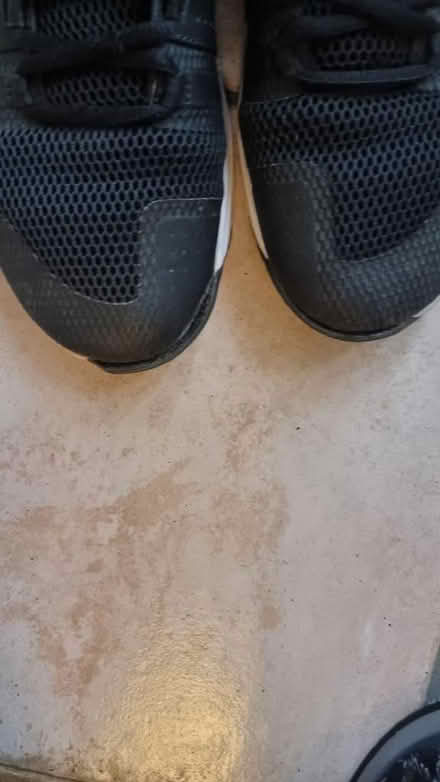 Photo of free Under armour trainers 9.5 mens (South hampstead NW8) #4