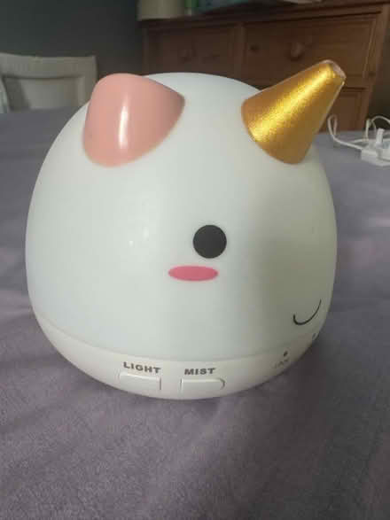 Photo of free Steamer/Light (Hampton TW12) #2