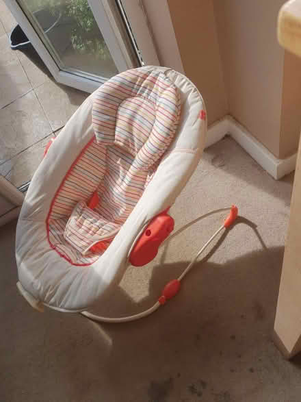 Photo of free Baby bouncy chair (Shoreham by sea BN43) #2