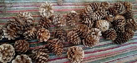Photo of free Christmas decorations (Gidea Park) #2