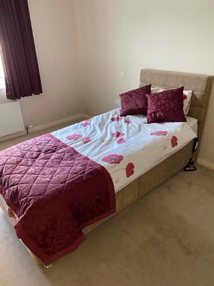 Photo of free Electric bed (Cheddar) #1