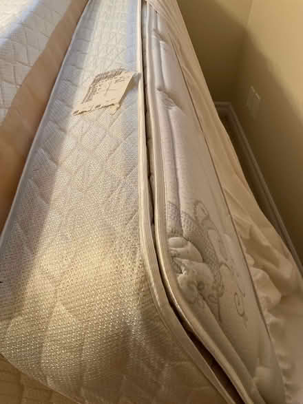 Photo of free Single bed (Manotick) #2