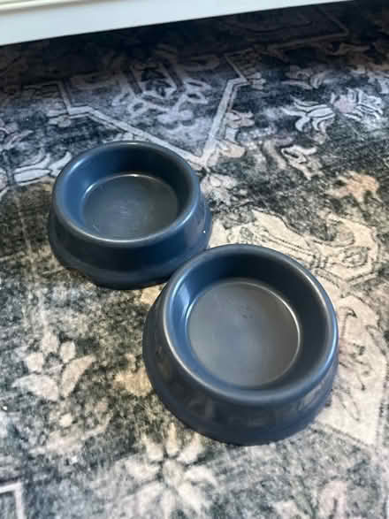 Photo of free Two blue plastic cat bowls (RG2 Shinfield) #1