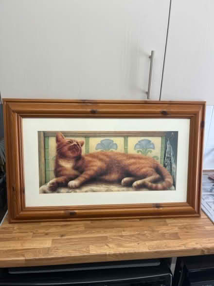 Photo of free Framed Cat picture (Letchworth) #1