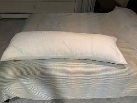 Photo of free Body pillow (Downtown Princeton) #1