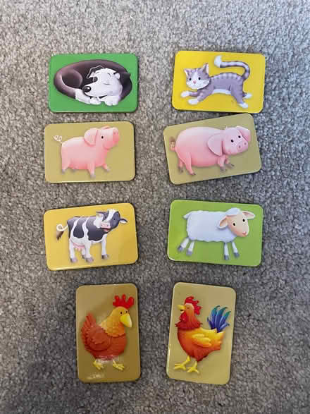 Photo of free Animal magnets (Formby L37) #1