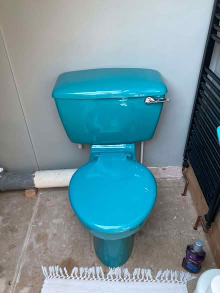 Photo of free Turquoise loo! (Starbeck HG2) #1