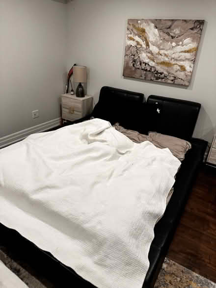 Photo of free Queen size bed (Streetsville) #3
