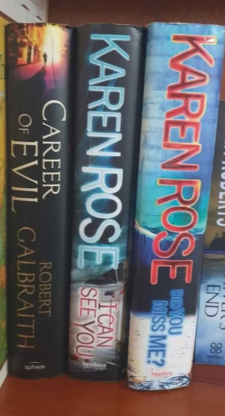 Photo of free Karen Rose Books Bundle (Woodside WD25) #2