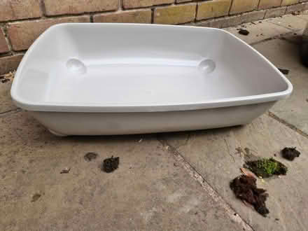 Photo of free Large cat litter tray (Lower Walkley S6) #2