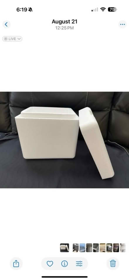 Photo of free Styrofoam cooler (Ludlow ky) #1