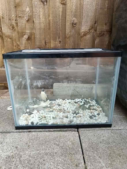 Photo of free Fish tank (Lickey End B60) #1