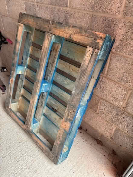 Photo of free Pallet (Waterlooville PO8) #1