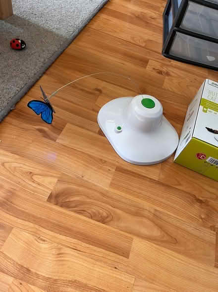 Photo of free Battery powered cat toy - butterfly (Torbrex FK7) #1