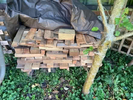 Photo of free Wood (Florence Park, Oxford, OX4) #1