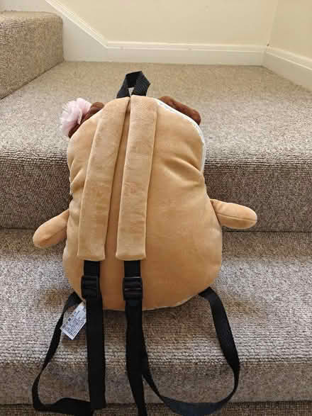 Photo of free Super cute backpack (North Waltham RG25) #2