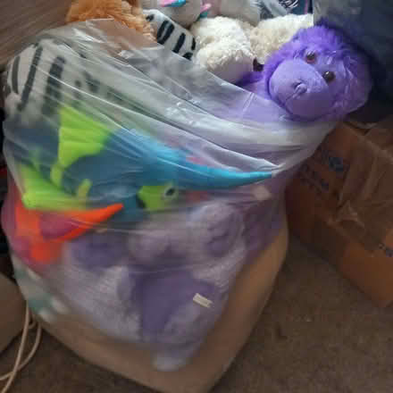 Photo of free Cuddly toys (Pershore WR10) #3