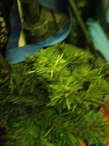 Photo of free 6ft mark's and Spencer Christmas tree (Kingsley Park) #1