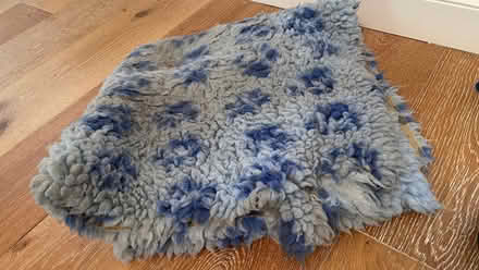 Photo of free Dog Basket (Costessey NR8) #4