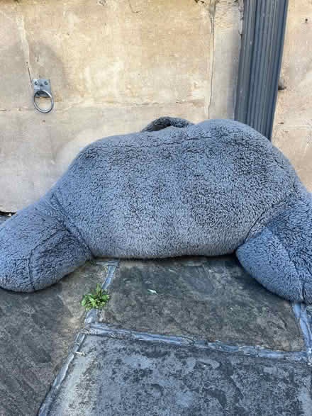Photo of free V shaped cushion (Widcombe) #1