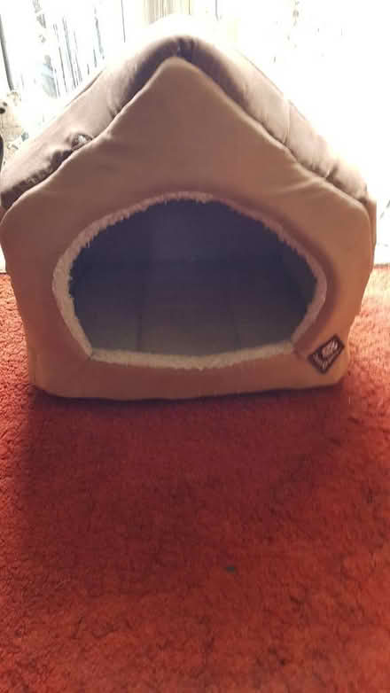 Photo of free Cat/dog bed (Basildon SS14) #1