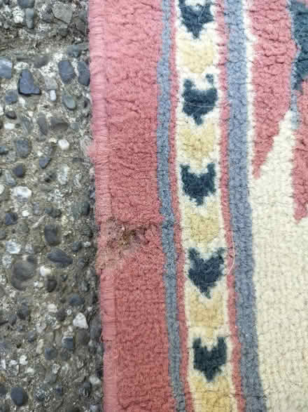 Photo of free Area Rug 4' x6' (Juanita (Kirkland)) #2