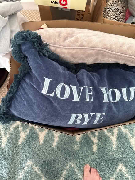 Photo of free Cushions (Downham BR1) #2