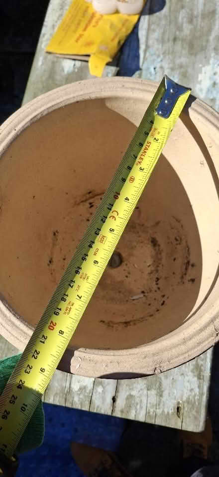Photo of free Plant pot (Chelmsford CM1) #4