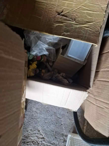 Photo of free Bird cages,nest boxes,other bits (BS39) #3