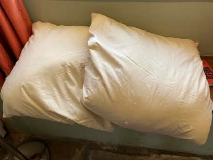 Photo of free 2 Natural feather cushion inners (OX4 Littlemore) #1