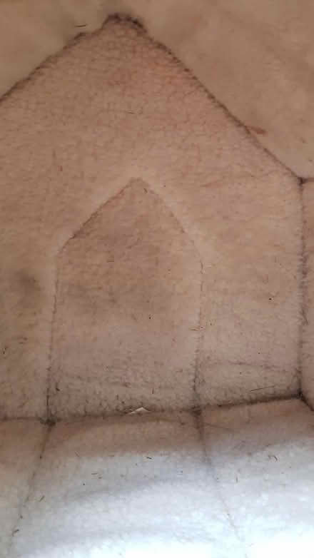 Photo of free Cat/dog bed (Basildon SS14) #2