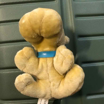 Photo of free Plush Dog Toy (Westbury BA13) #3
