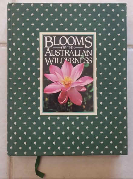 Photo of free Blooms of the Australian Wilderness (East Scarborough) #2