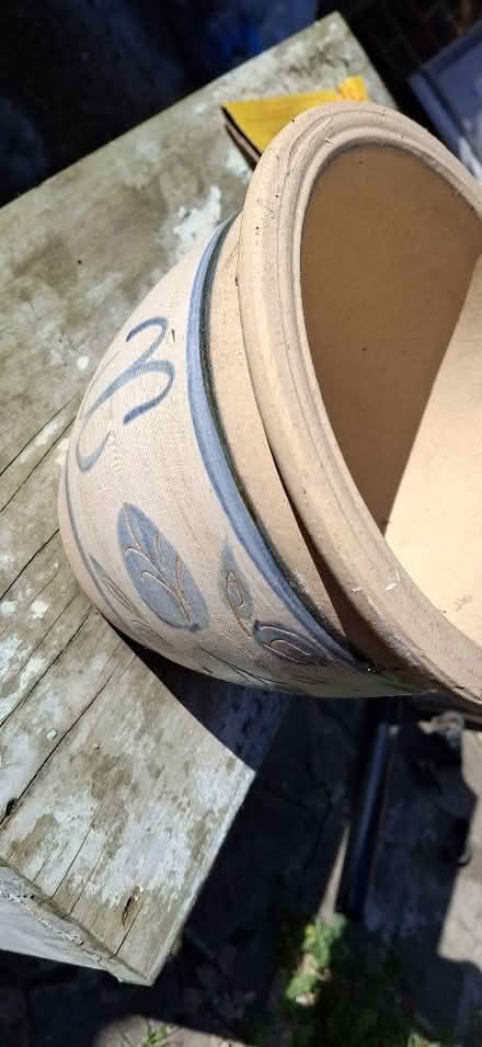 Photo of free Plant pot (Chelmsford CM1) #2