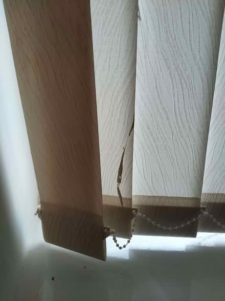Photo of free Vertical blinds (Llanidloes SY18) #2