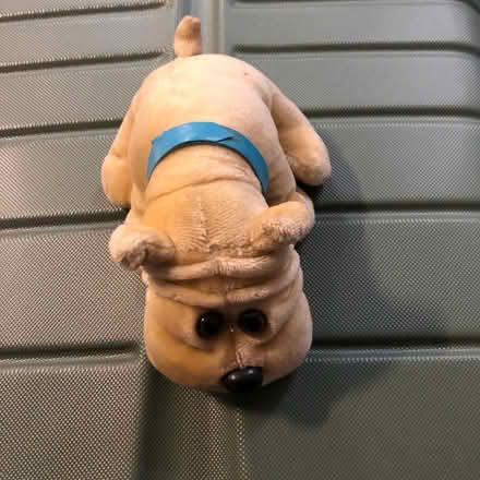 Photo of free Plush Dog Toy (Westbury BA13) #1