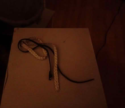 Photo of free 2 girls thin belts (Hanworth TW13) #1