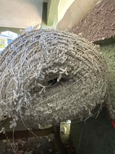 Photo of free Unused light gray carpet roll (North San Leandro) #2