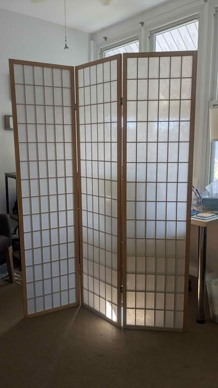 Photo of free Bamboo screen (Manor Park, Washington, DC) #1