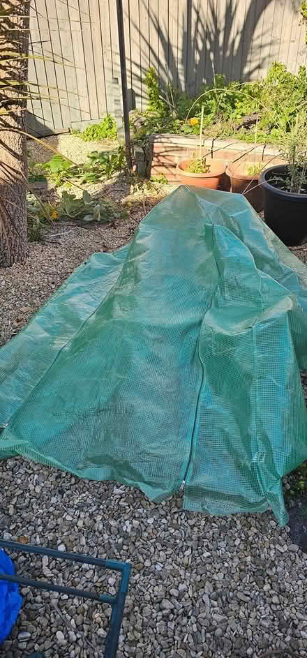 Photo of free Greenhouse replacement cover (Kingswood BS15) #1