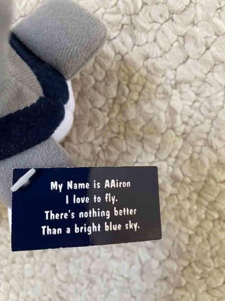 Photo of free Airplane plushie (West Plano) #2