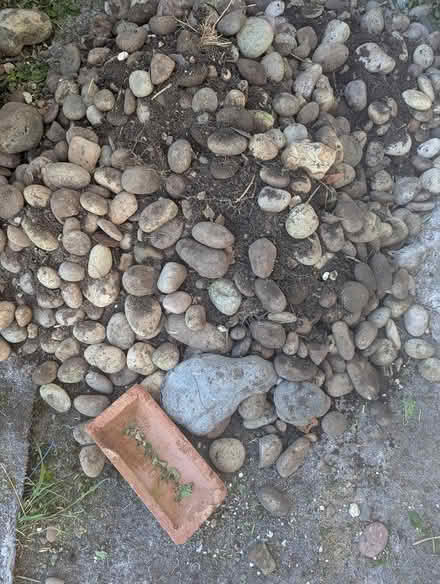 Photo of free Garden stones (CT14) #1