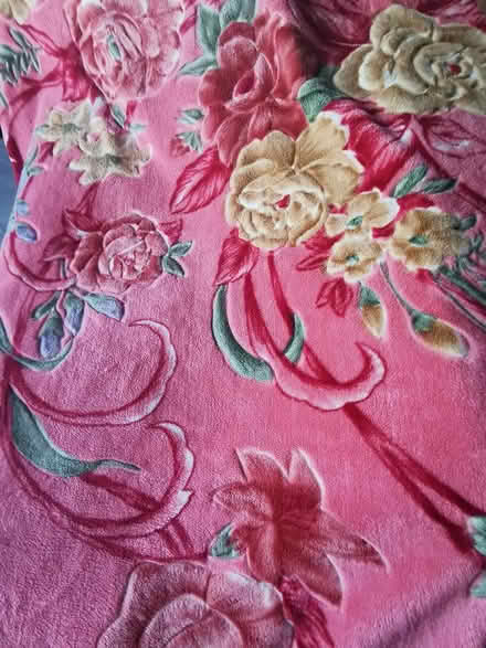 Photo of free Bedspread and blanket (Dublin 18) #2