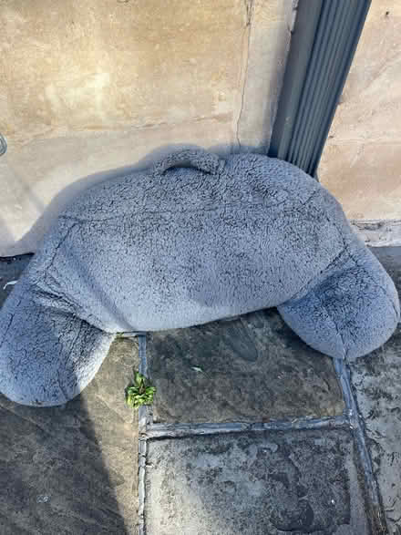 Photo of free V shaped cushion (Widcombe) #2